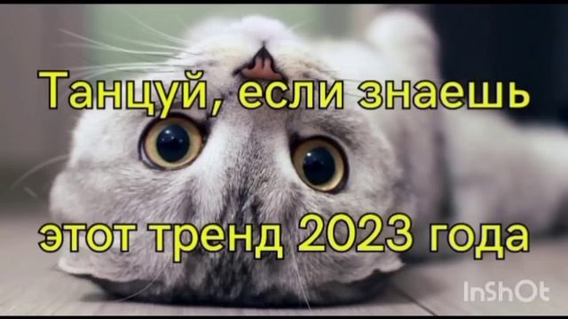 #танцуй если знаешь этот тред 2023#?? смотреть онлайн