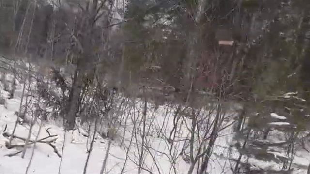 видео друзей смотреть онлайн