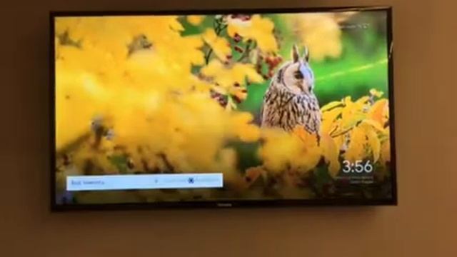 Toshiba TV смотреть онлайн