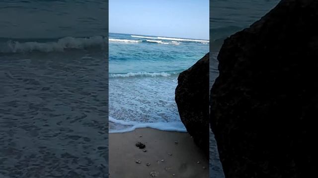 Green bowl beach смотреть онлайн