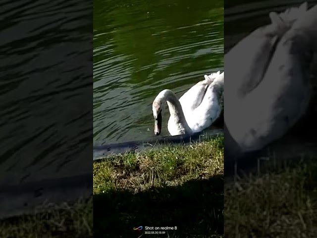 30 мая 2022 г. смотреть онлайн