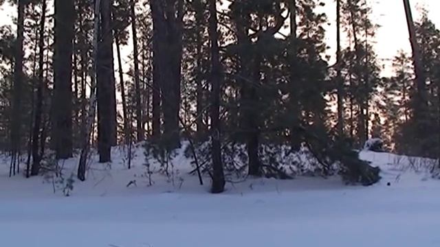 Аксаковский пробег смотреть онлайн