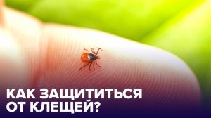 Осторожно, КЛЕЩИ! Как обезопасить себя? Как вытащить клеща?