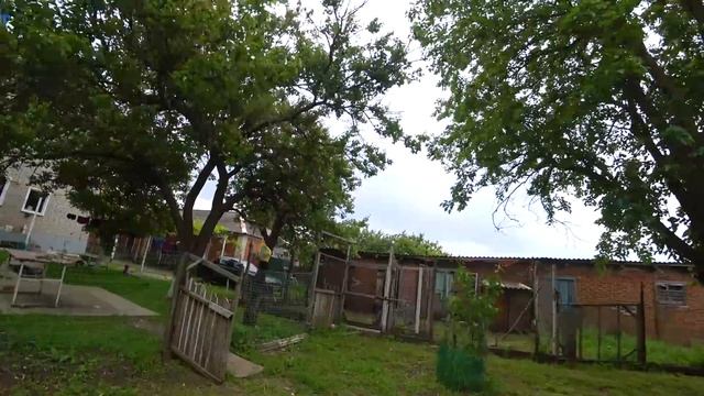 МАША РАССКАЗЫВАЕТ, ЧТО ДА КАК. ИЗ ГОРОДА В ДЕРЕВНЮ Лайф. Серия №86 смотреть онлайн