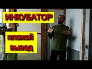 ИНКУБАТОР плохой вывод ПРИЧИНА и ЧТО ДЕЛАТЬ ответ на вопрос