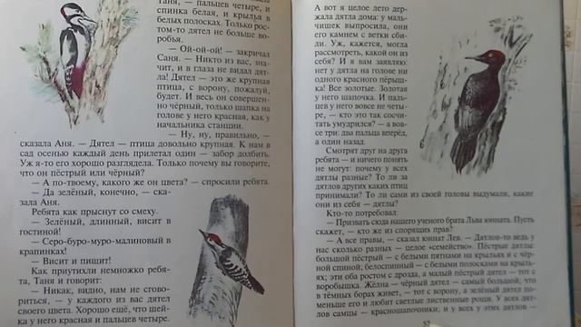 Дятел и малиновка смотреть онлайн