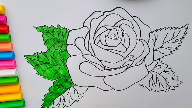 Как нарисовать Розу. Раскраска для детей. смотреть онлайн