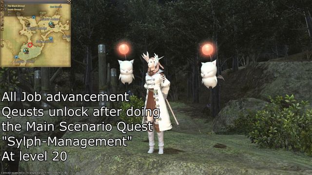 Final Fantasy 14 Conjurer to White Mage guide: Level 1 - 50 in detail смотреть онлайн