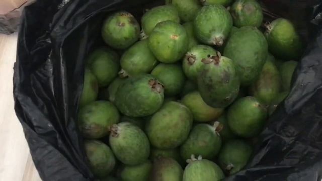 Все, что купила  в Абхазии выбросила.И куча покупок в фикс прайс