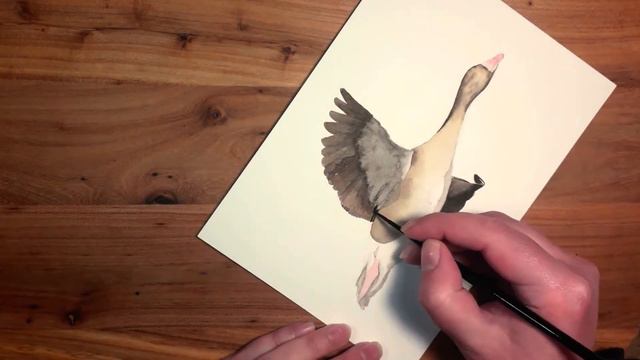 Painting A Goose In WATERCOLOUR /// Painting Timelapse