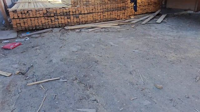 Ағаш базар бағасы#kazakhstan #атырау #цена #atyrau #цены