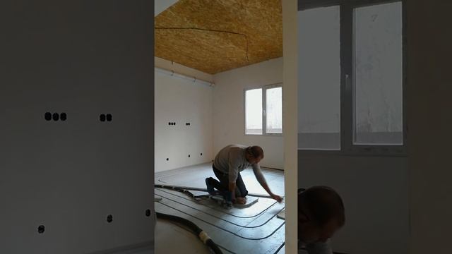 Лежбище для котиков смотреть онлайн