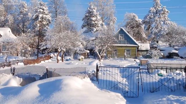 ✨Морозное Утро ✨ Дима Гревцев ✨ смотреть онлайн