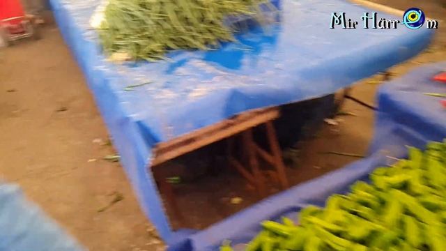 По новой традиции ? но без приключений ? Базар, цены, моя закупка ?? Измир Турция смотреть онлайн