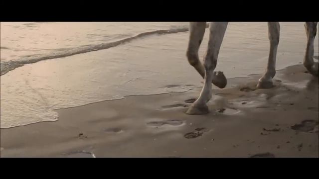 Bee Gees Fallen Angel смотреть онлайн