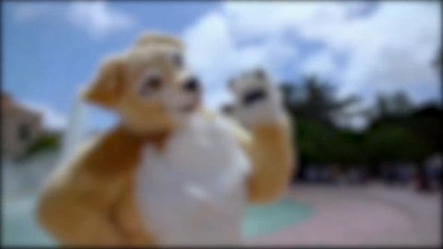 ФУРРИ ФЕМБОИ КАК СМЫСЛ ЖИЗНИ смотреть онлайн