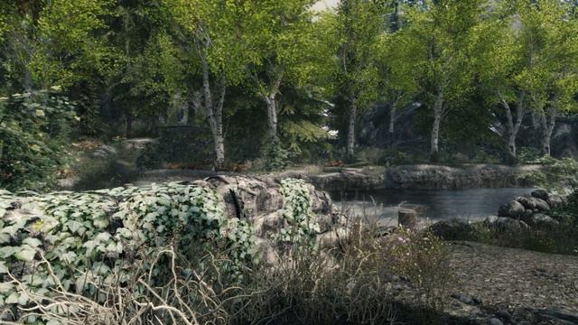 SkyrimSE Re-Engaged ENB Rustic Weathers Preset (V4.1a) смотреть онлайн