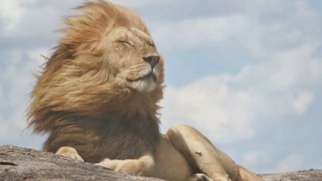 Bliss Music Meditation India