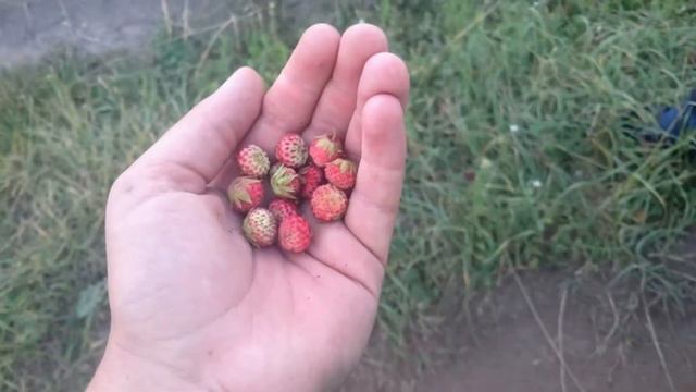 Наши приключения "Охотников за приключениями" этим летом. смотреть онлайн