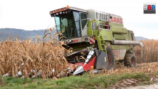 ? Claas Mega 218 ?, Maisernte, Winnenden, Germany, 13.11.2021. #2 смотреть онлайн