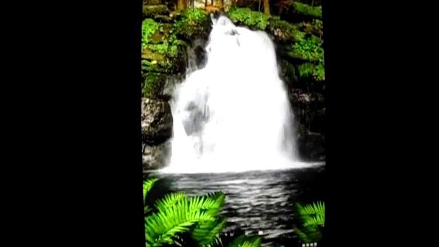 Forest Waterfall live wallpaper for OS Android смотреть онлайн
