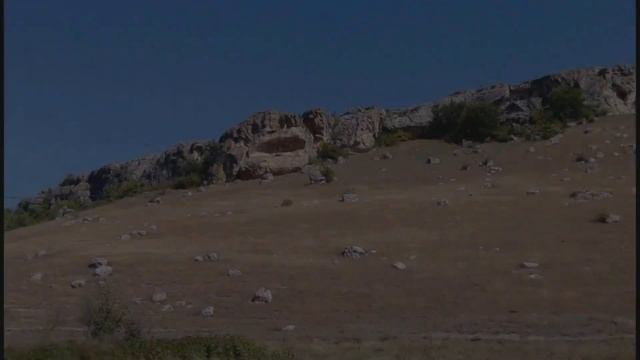 Грабли веерные Для любителей канала Грабли Лайф 10 11 21 смотреть онлайн