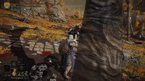 Как быть лучником в Elden Ring - полный гайд