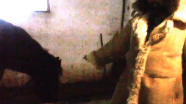 Коровы,овцы,лошади и свиньи ,обзор внутри коровника смотреть онлайн