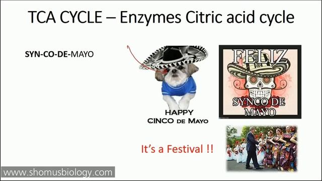 Krebs cycle trick made easy | Remember Krebs cycle in 5 minutes смотреть онлайн