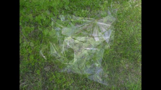 Конденсация влаги полиэтиленовым мешком