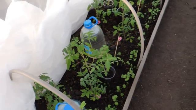 ВЛОГ// МОИ ПЕРЕЖИВАНИЯ// ДАША ИСПЕКЛА ВКУСНЯШКУ// 2 МАЯ смотреть онлайн
