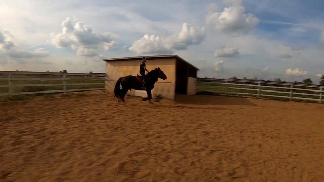 Заездка молодой лошади (Тяжеловоз) 5 часть. Мы не дружим с лошадьми. смотреть онлайн