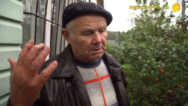 Контрафакт саженцев заполонил рынки смотреть онлайн