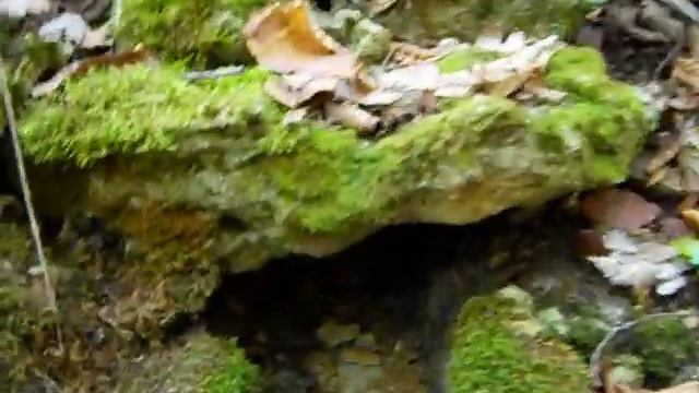 Родники горного Крыма 44 574458 смотреть онлайн