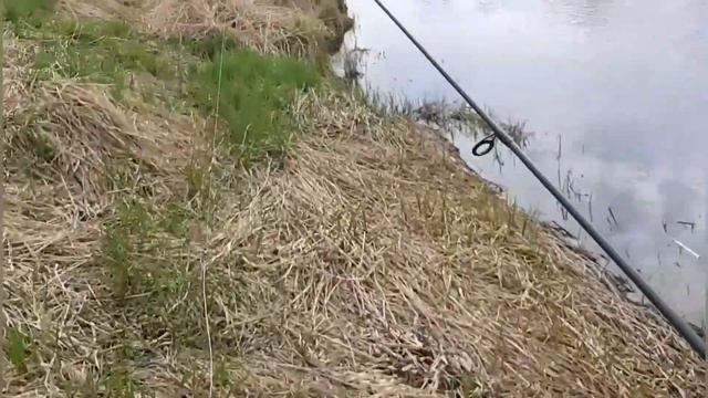 ЩУКА ЯЗЬ. Р. Дубна Рыбалка в Московской области смотреть онлайн