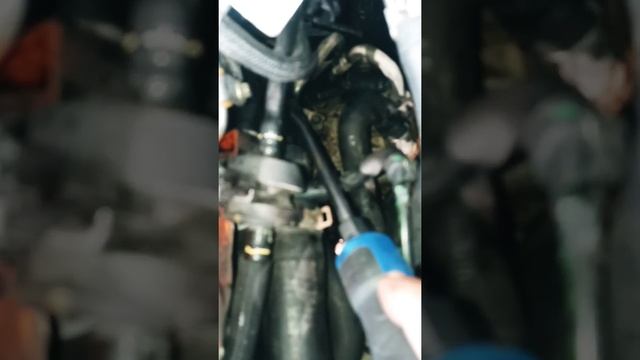 Heater Hose/Manguera de calefaccion Ford Escape 2013 смотреть онлайн