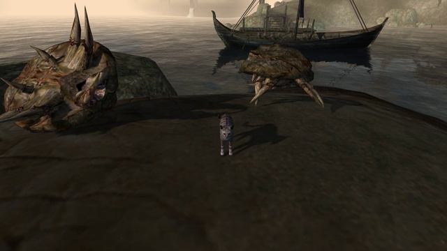 Fighting Morrowind mudcrabs with Stripes the Cat смотреть онлайн