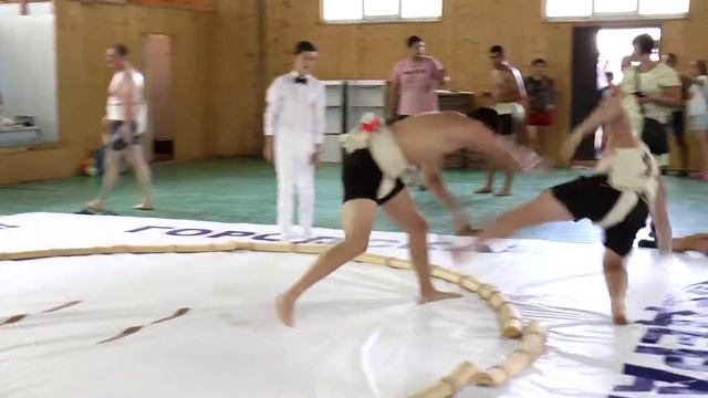 СУМО КРАСНОДАР, Краевые соревнования июнь 2018, Сумотори Кубани смотреть онлайн