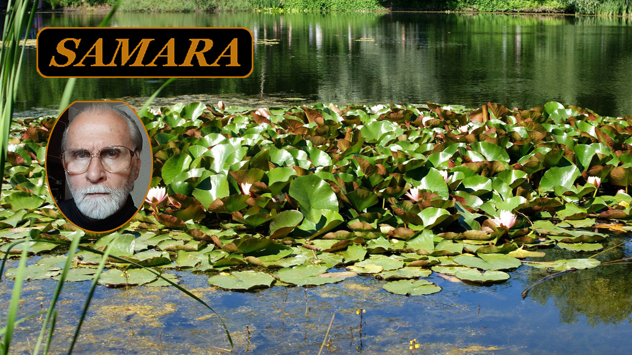 Самара. Ботанический сад. Июль 2020. 15. Пение птиц. & Samara. Botanical garden. July. Birdsong. смотреть онлайн