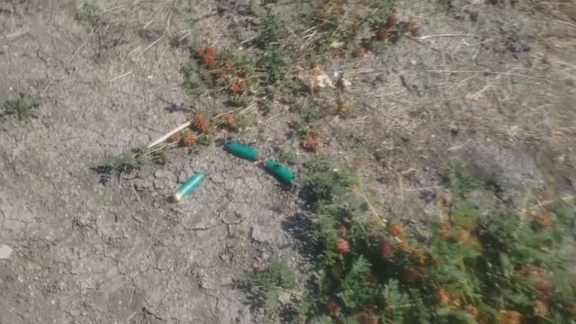 ?Сколько белка в кузнечике? Ответ тут) смотреть онлайн