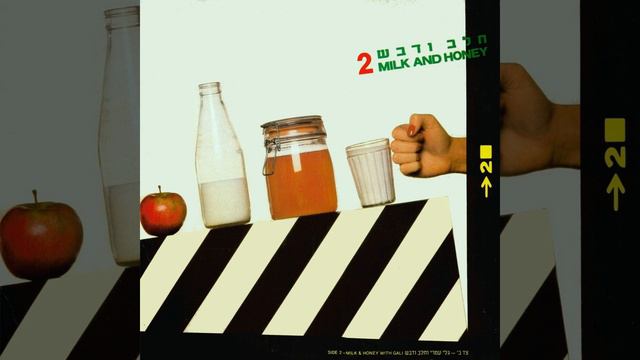 First Class Song - Gali Atari & Milk And Honey смотреть онлайн