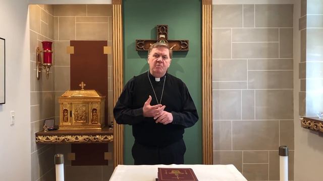 Cardinal Joseph Tobin: Pray for unity so that the world may believe смотреть онлайн