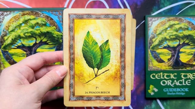 Celtic Tree Oracle - Silent Flip-through смотреть онлайн