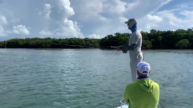 Saltwater Fly Fishing Double Haul Instruction with Will Benson World Angling смотреть онлайн