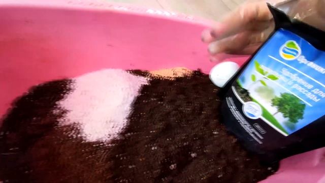 КАТАРАНТУС И ВЕРБЕНА, КАК РАСПИКИРОВАТЬ.2021 смотреть онлайн