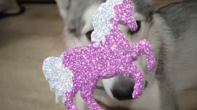 собака устала позировать