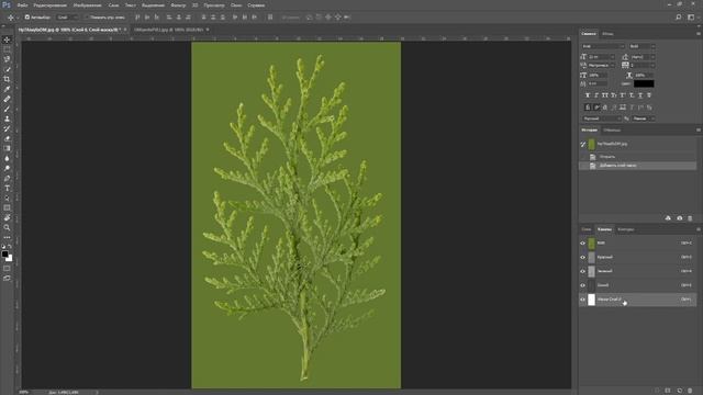 Как вставить изображение в слой-маску в фотошопе смотреть онлайн