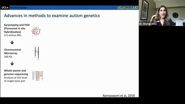 Semel Grand Rounds/Teaching And Child Psychiatry Awards, 2020-05-19, Dr. Shafali Jeste
