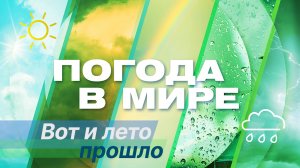 «Погода в мире» от 31 августа 2024 года