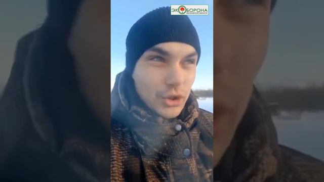 Как истребляют томскую тайгу - вывозят сотни кубометров кедра В ДЕНЬ! смотреть онлайн